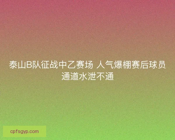 泰山B队征战中乙赛场 人气爆棚赛后球员通道水泄不通