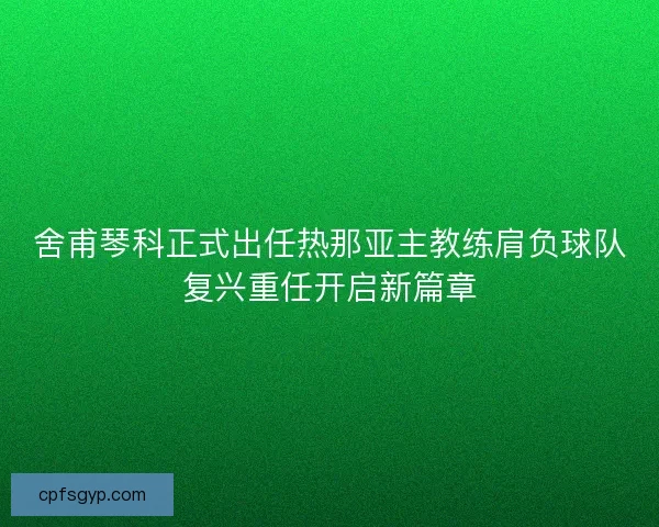 舍甫琴科正式出任热那亚主教练肩负球队复兴重任开启新篇章